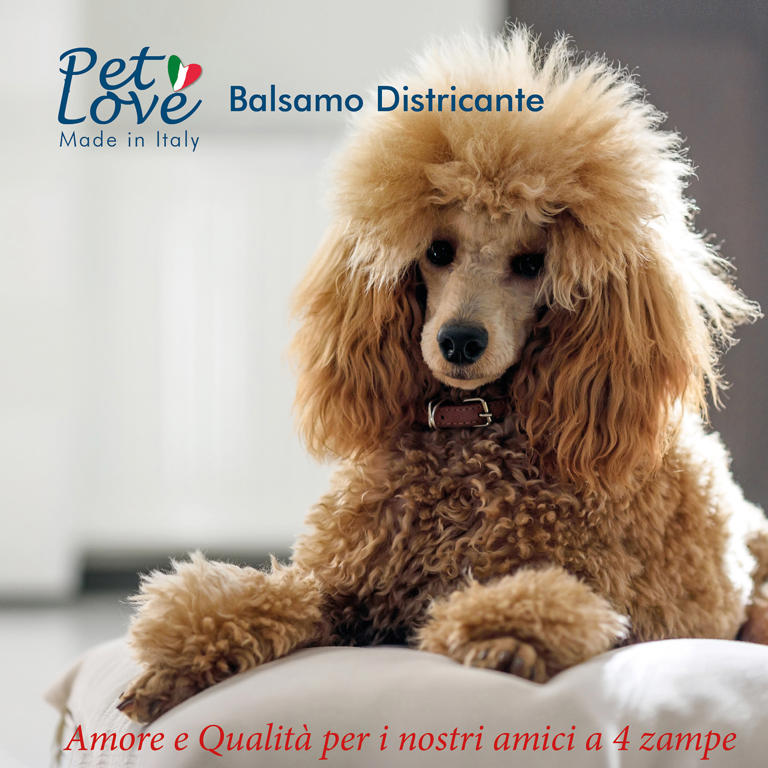 DETANGLING FOR DOGS 