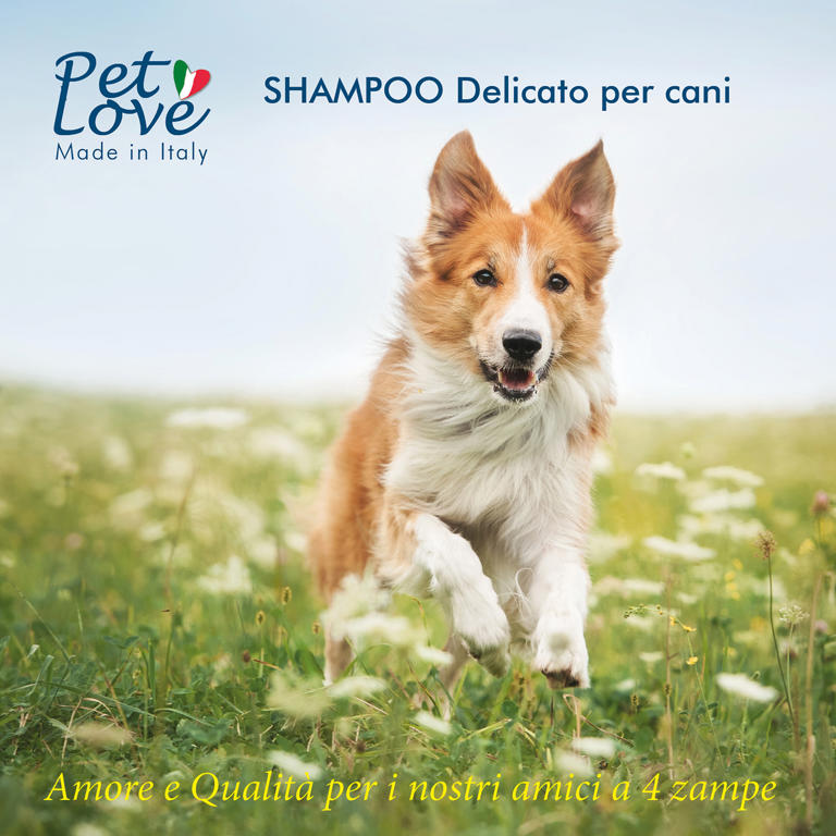 SHAMPOO FOR DOGS 