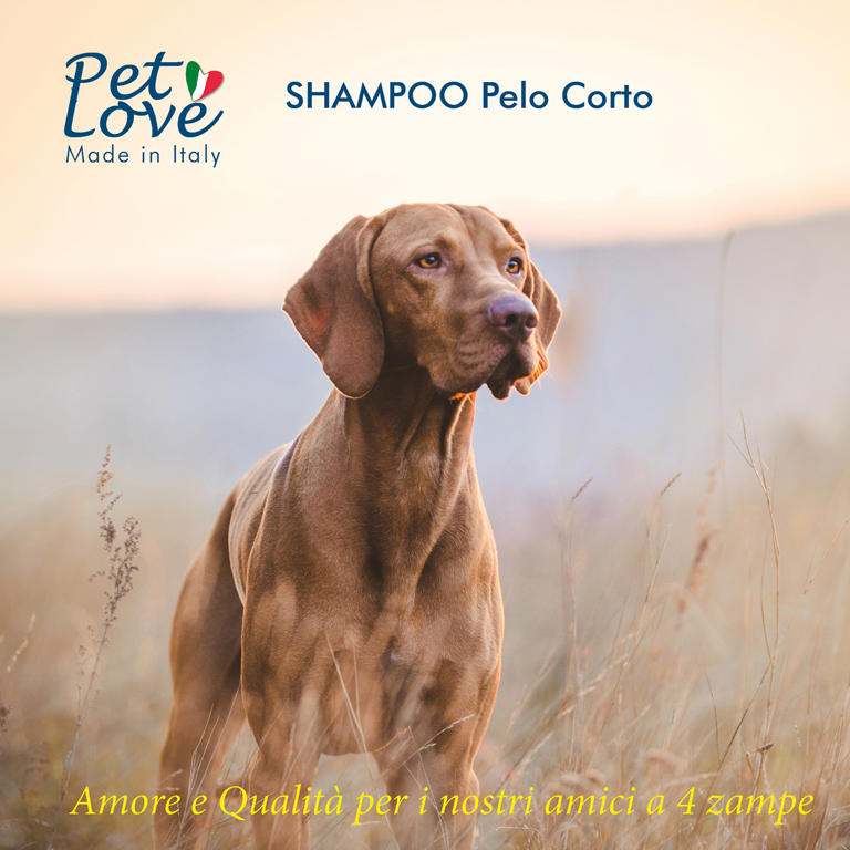 SHAMPOO FOR  SHORT COATED DOGS 