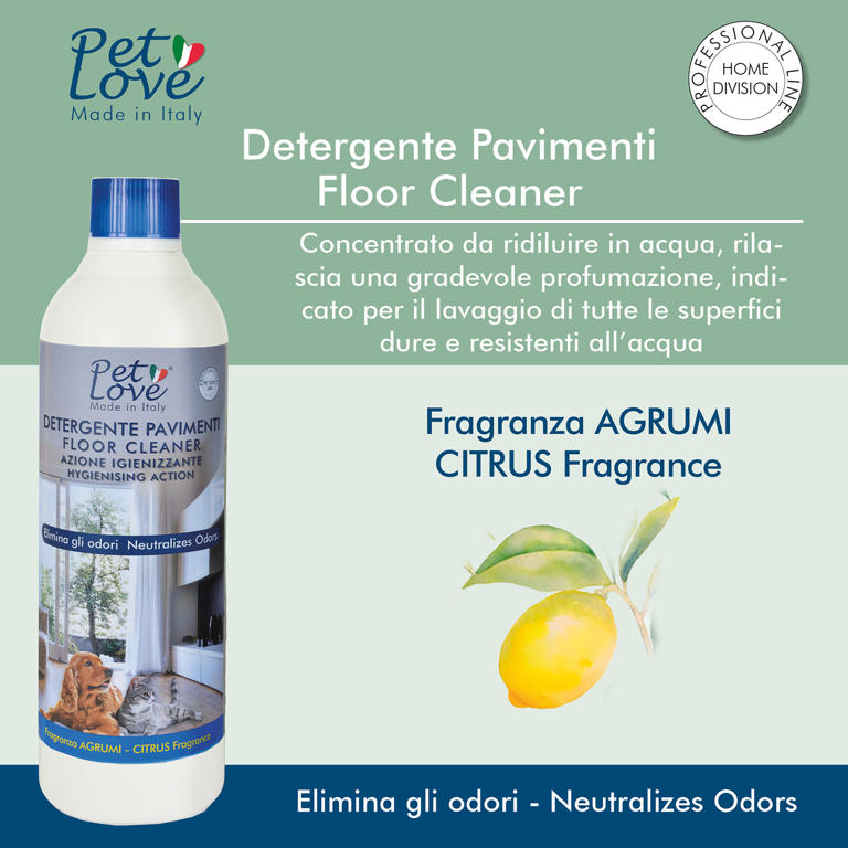 DETRGENT FLOOR   CITRUS